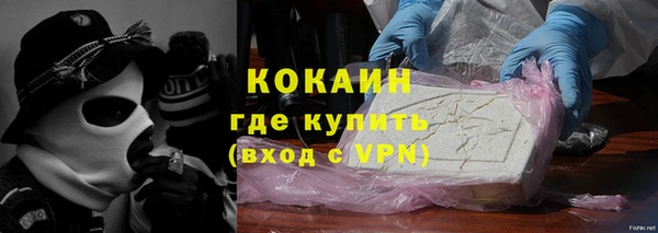 сатива Каменск-Шахтинский