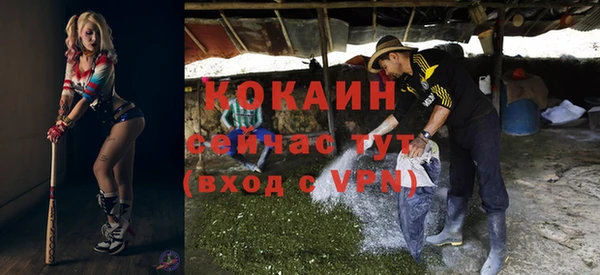 сатива Каменск-Шахтинский