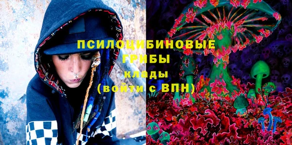 сатива Иннополис