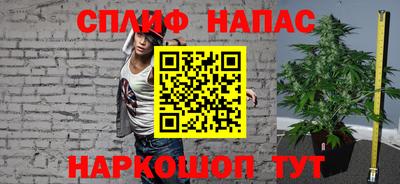 дмт Кинель
