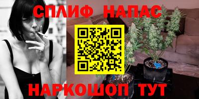 a pvp Кимры
