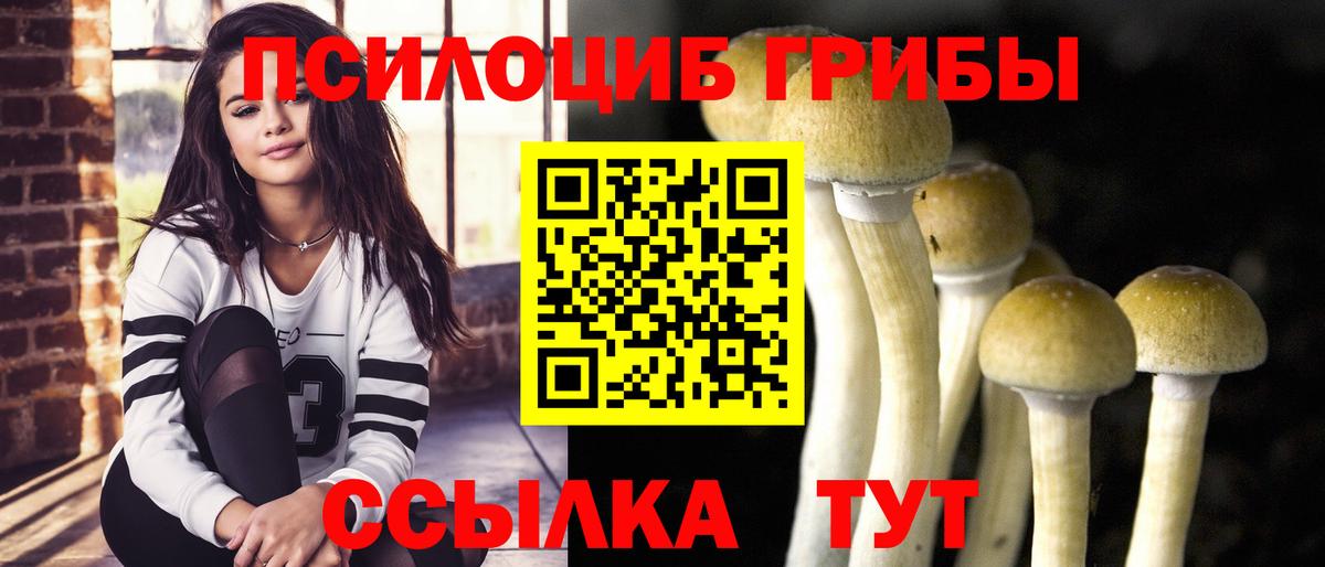 закладка  Псилоцибиновые грибы мухоморы  Вход с VPN  Красный Сулин 