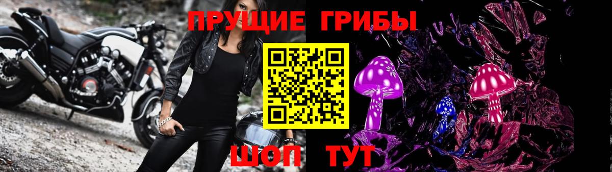 Галлюциногенные грибы Psilocybe Красный Сулин